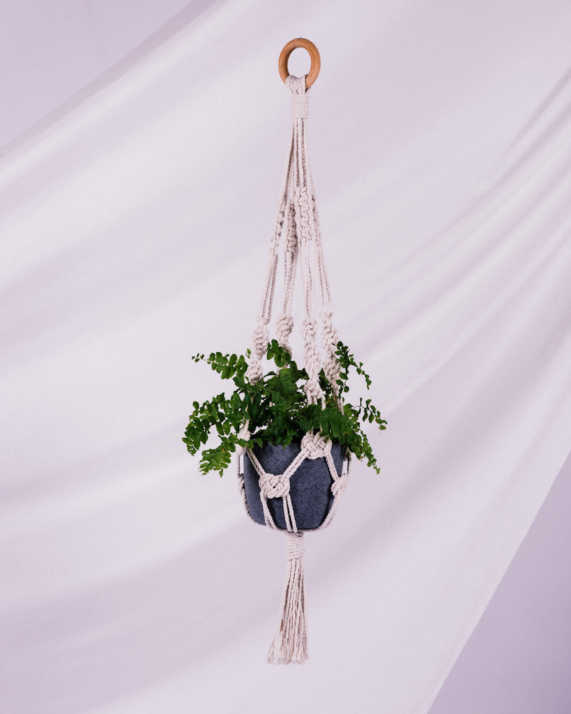 Knotty Plant Hanger